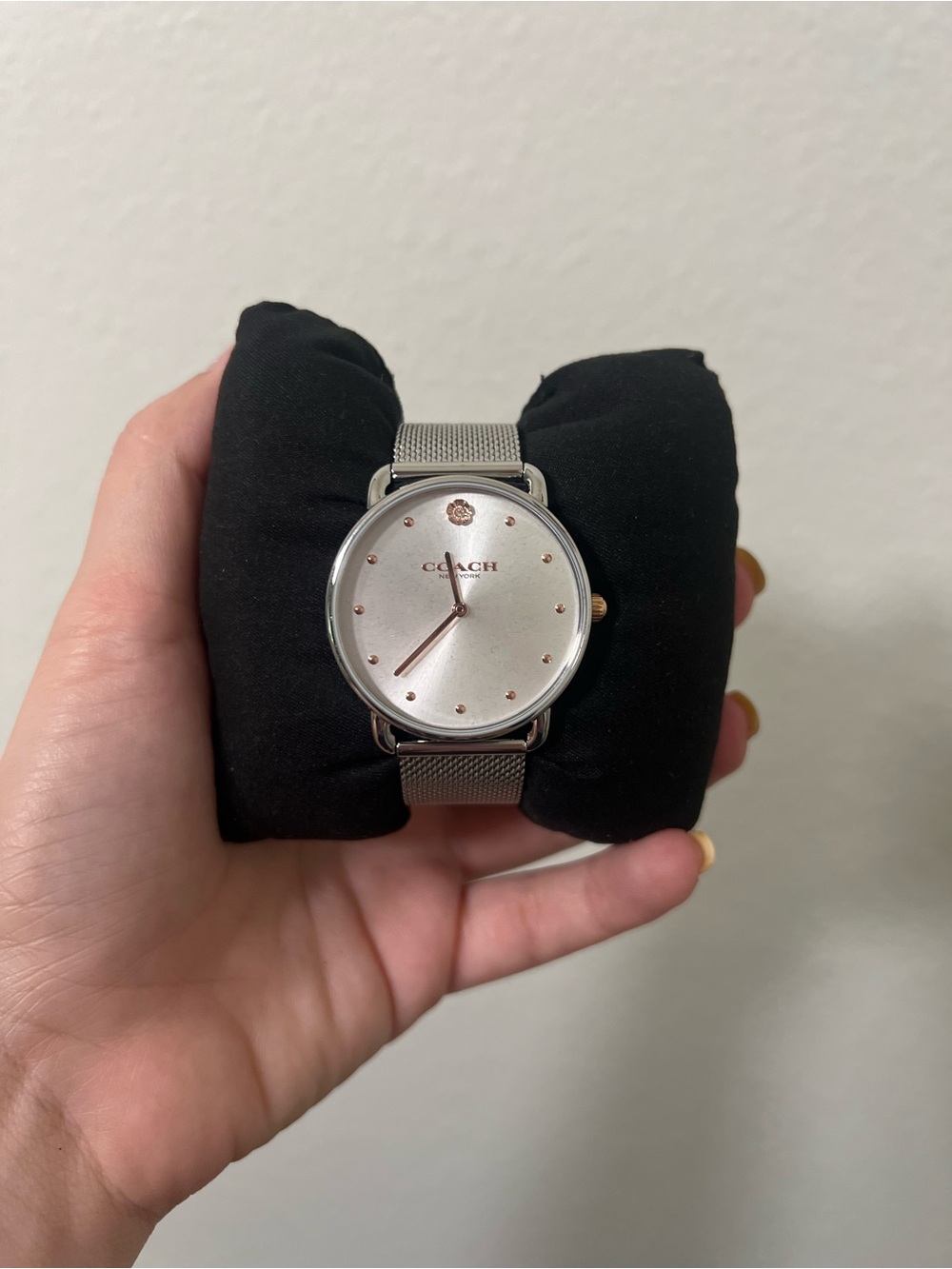 COACH Silver Mesh Strap women Watch - Silver Dial